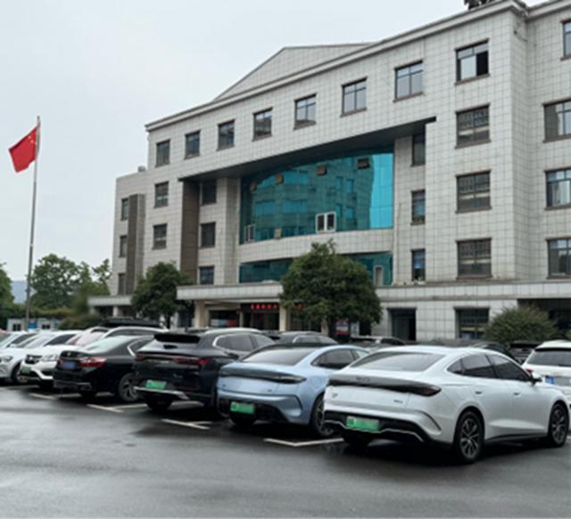 政府大院停满比亚迪，体制人严选见证中国车崛起